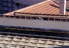 obra (280) PREVENCION RIESGOS LABORALES